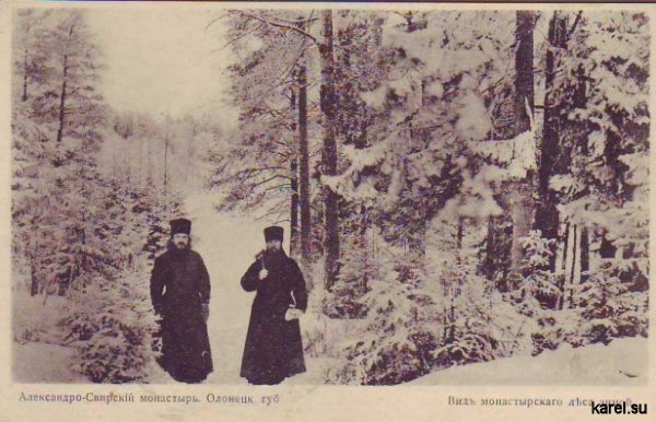 Свято-Троицкий Александро-Свирский монастырь / Вид монастырского леса зимой